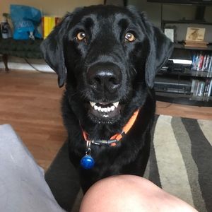 Meet your Posher, Jeanean